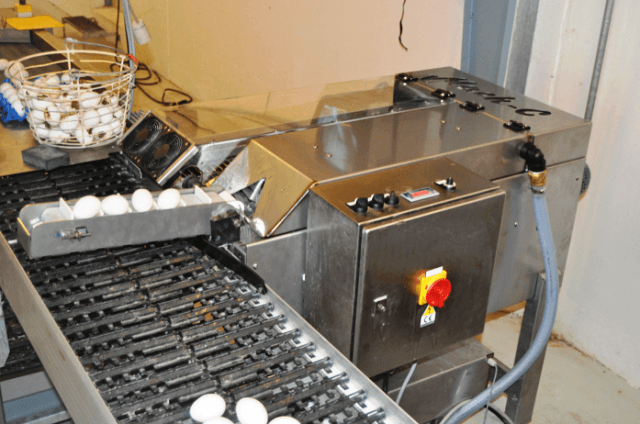 Мыть ли яйца перед инкубатором. Оборудование для мойки яиц. Моечная яиц. Дезинфекция яиц. Мойка яиц.